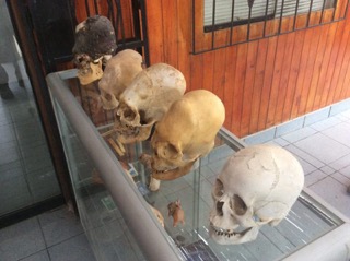 alien-skulls-peru