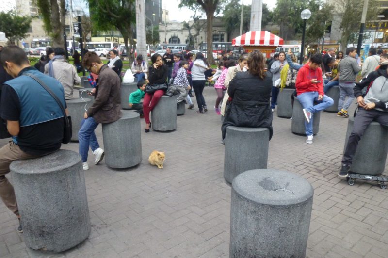 Cats, Parque Kennedy, Lima Peru