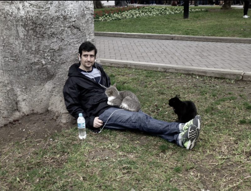 Cats, Parque Kennedy, Lima Peru